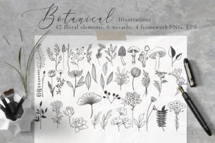 Floral Botanical Illustrations